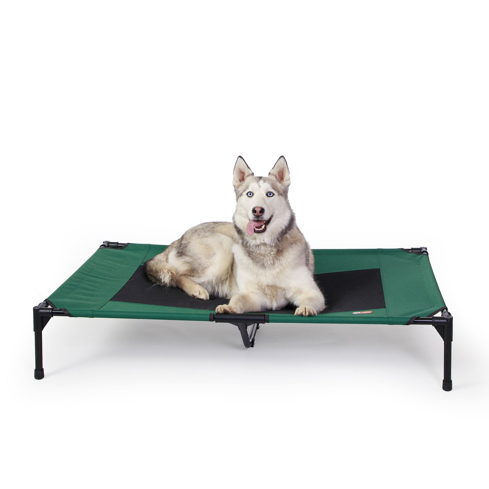 Petsmart elevated sale dog bed