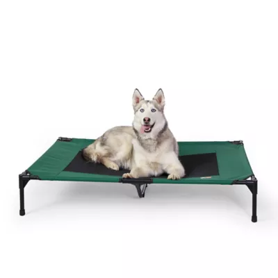 K&H Original Elevated Mesh Pet Cot Bed - Image 1