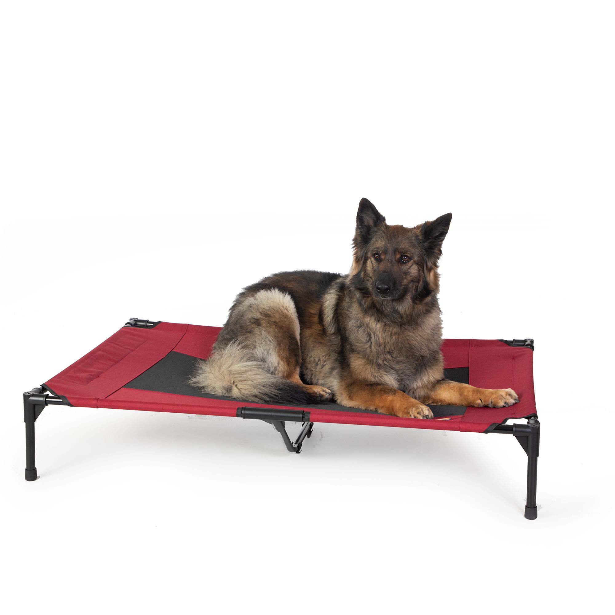 Petsmart raised 2025 dog bed