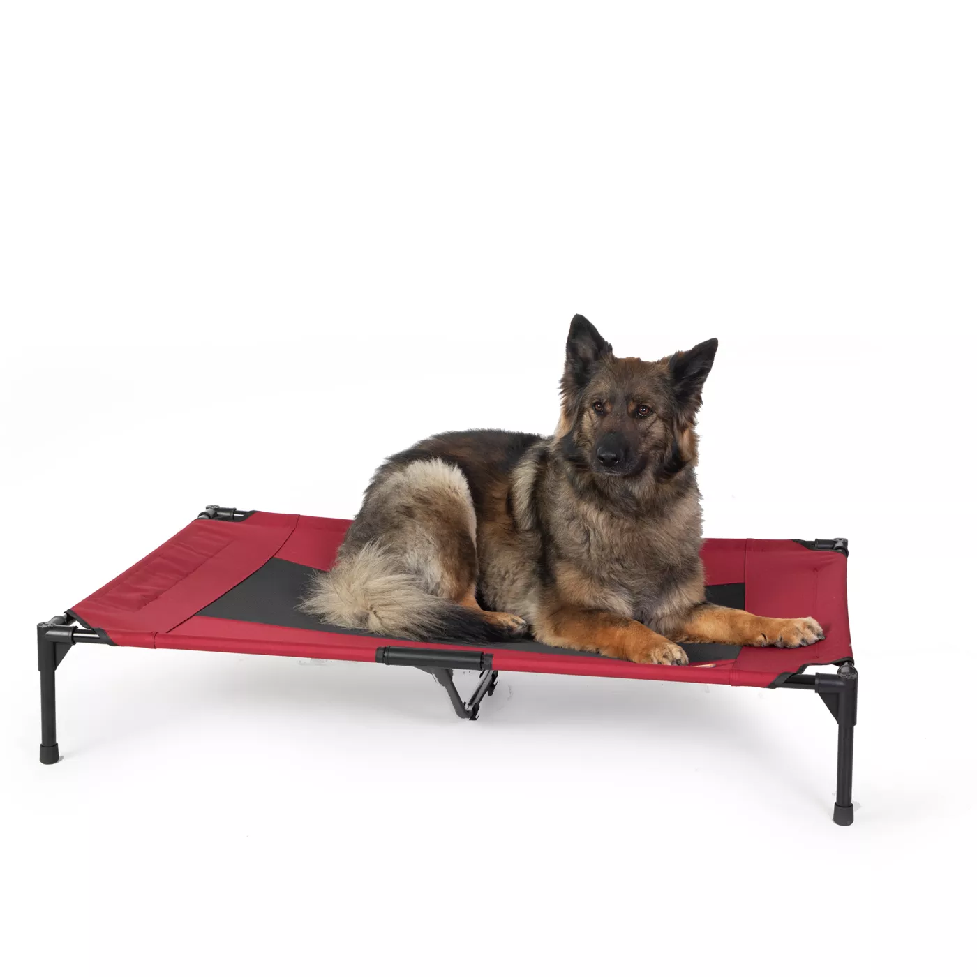 K H Elevated Pet Cot
