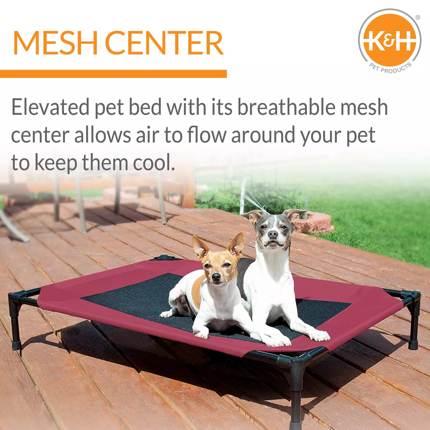 Kh pet cot best sale