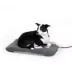 K&H Lectro-Soft Outdoor Heated Dog & Cat Bed Gray image thumbnail 1