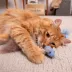 Instincts SmartyKat Catnip Caravan Cat Toy - 3 Pack image thumbnail 5