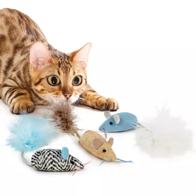 Petsmart cat toys best sale