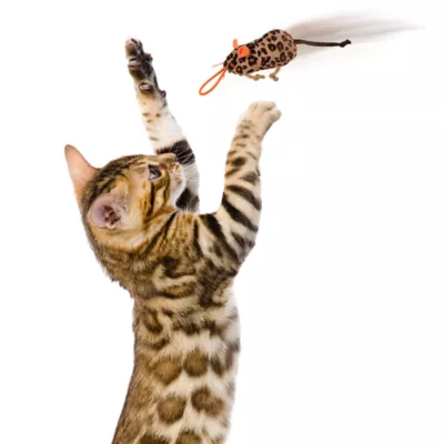 Product Instincts SmartyKat Safari Sneakers Cat Toy - 3 Pack