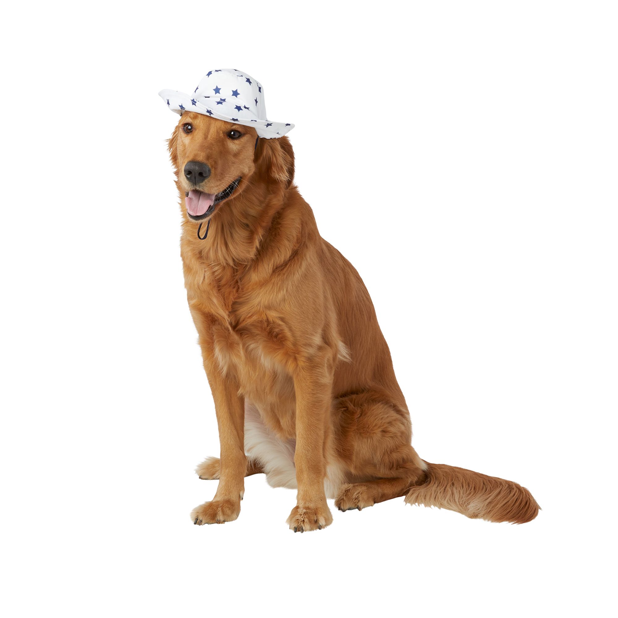 Dog Bucket Hat