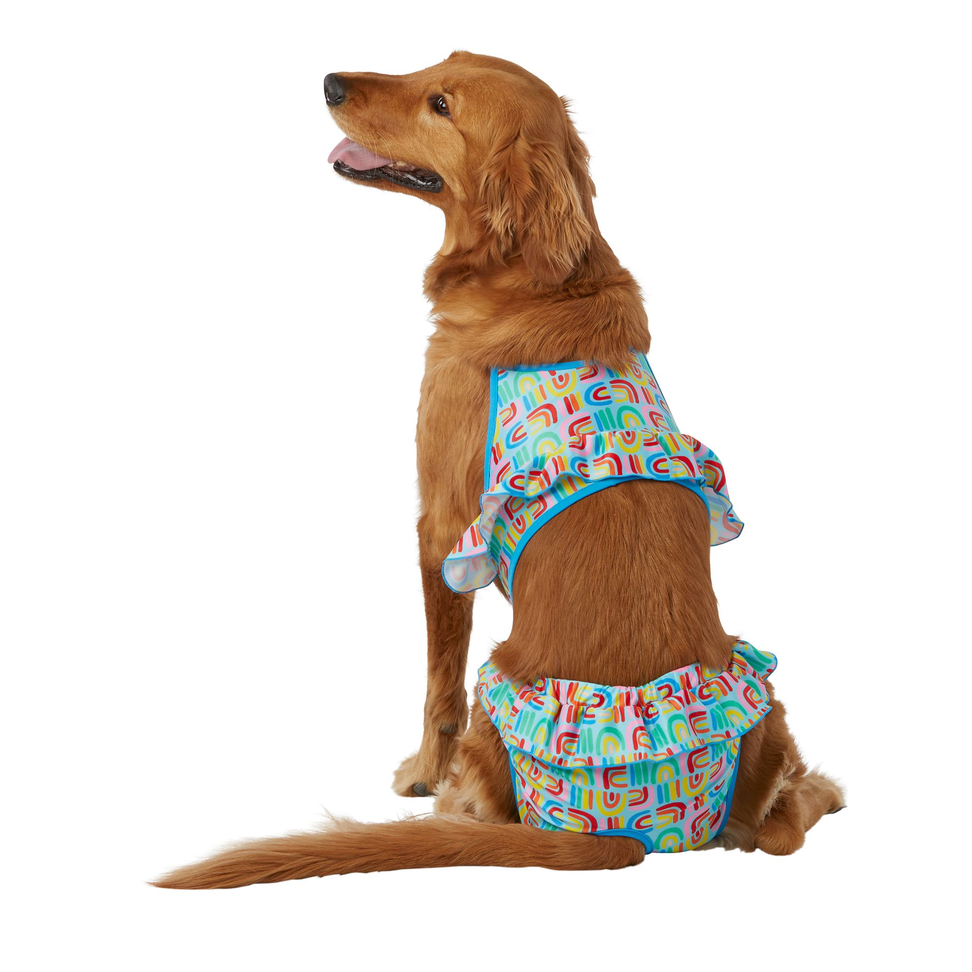 Dog Bathing Suits | ppgbbe.intranet.biologia.ufrj.br