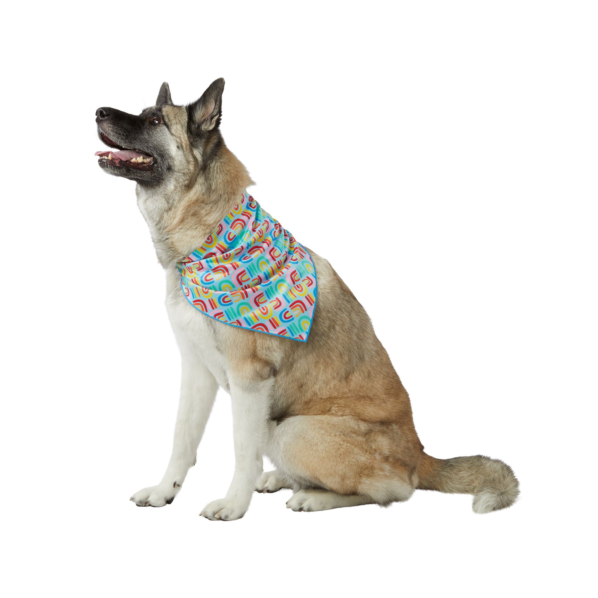 You Are Loved® Pride Dog Bandana dog Bandanas, Bows & Hats PetSmart