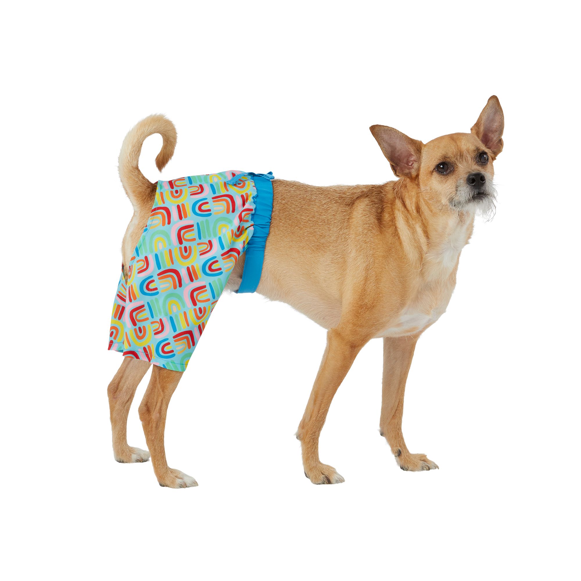 Doggy hot sale swim trunks