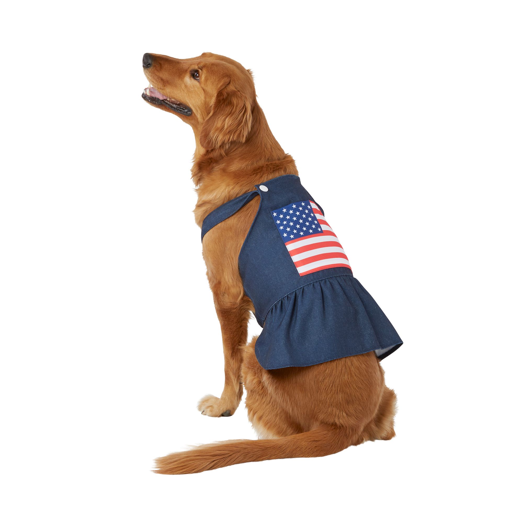 Petsmart dog dresses sale