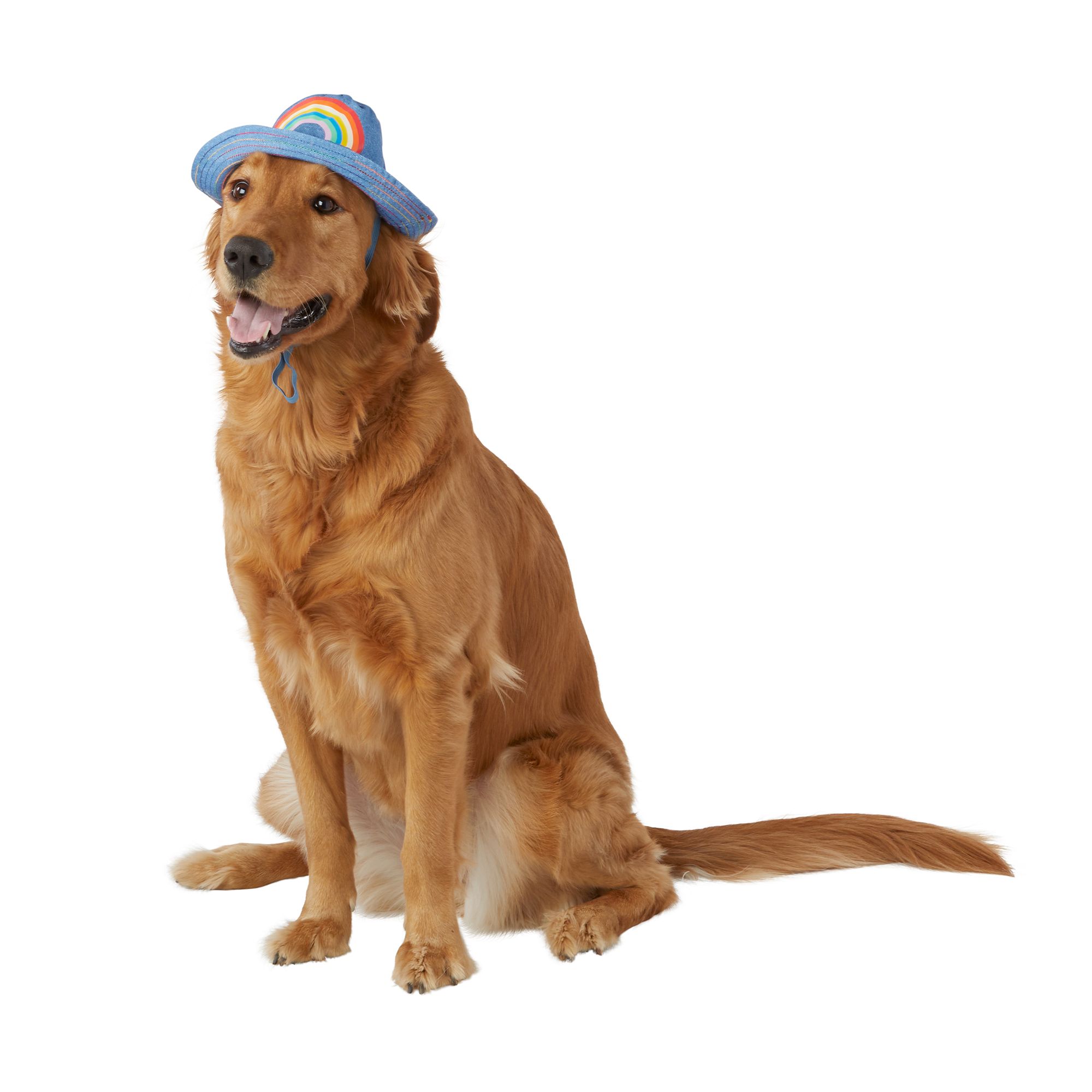 Dog 2025 hats petsmart