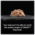 Crave Grain Free Pate Adult Dog Food - 12.5 OZ image thumbnail 3