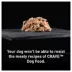 Crave Grain Free Pate Adult Dog Food - 12.5 OZ image thumbnail 6