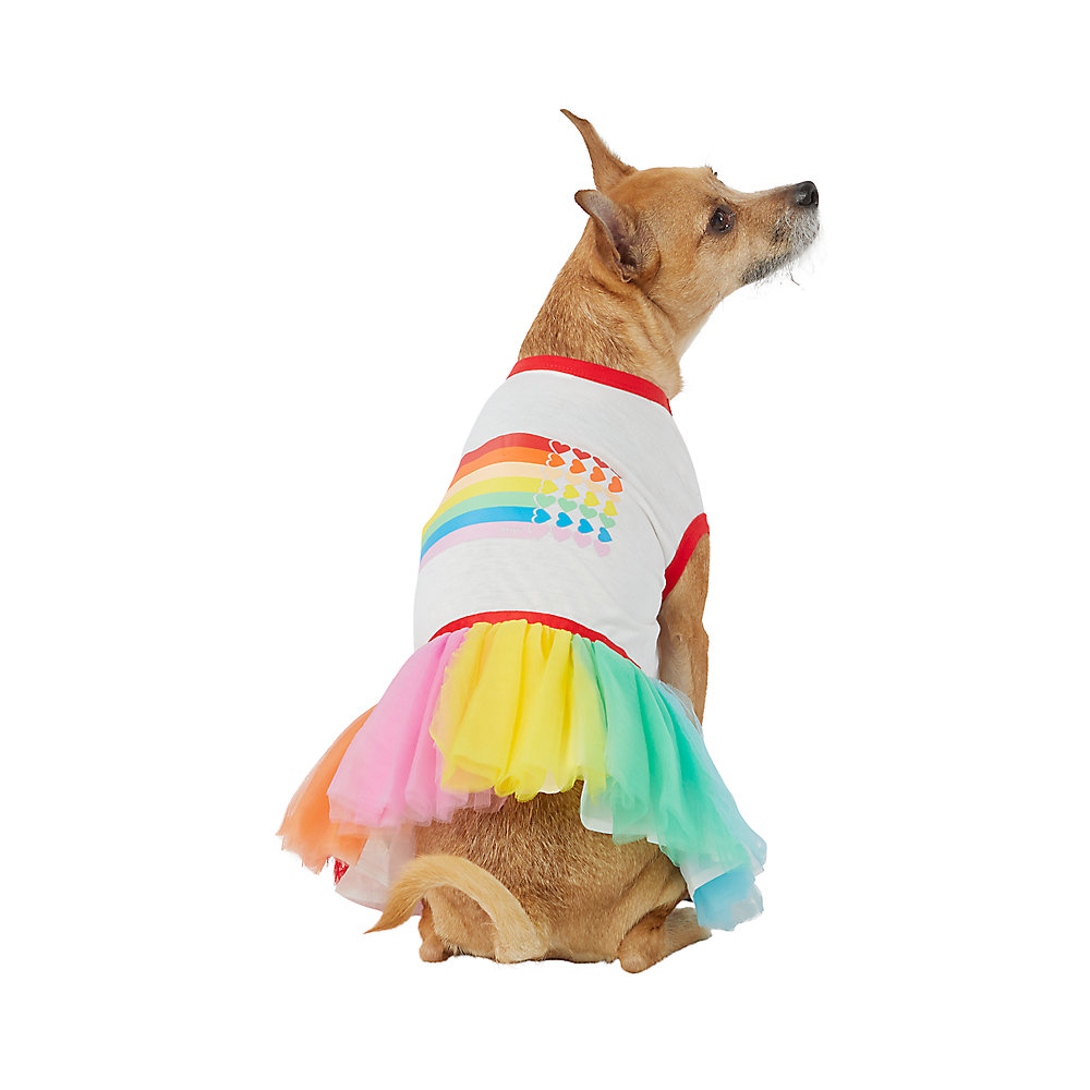petsmart.com | You Are Loved® Pride Dog Dress