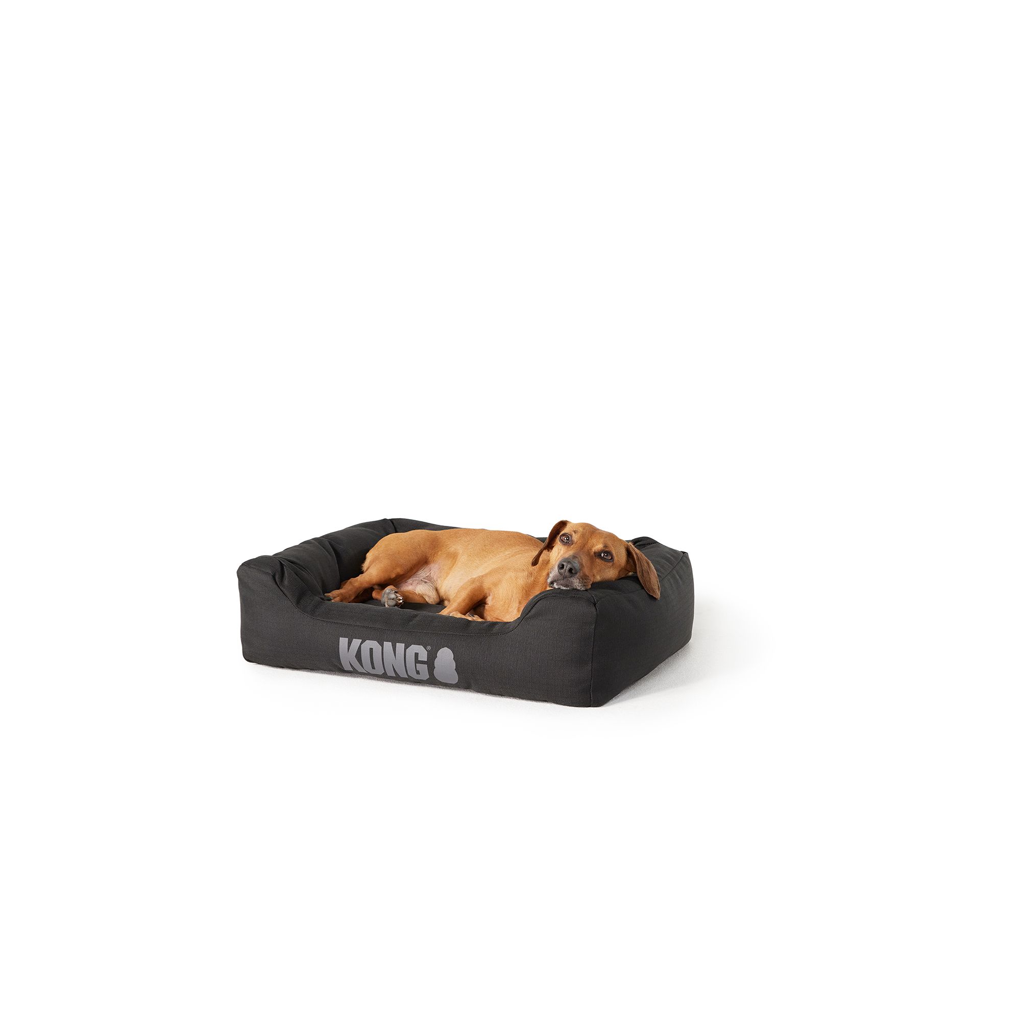 Kong orthopedic hot sale dog bed