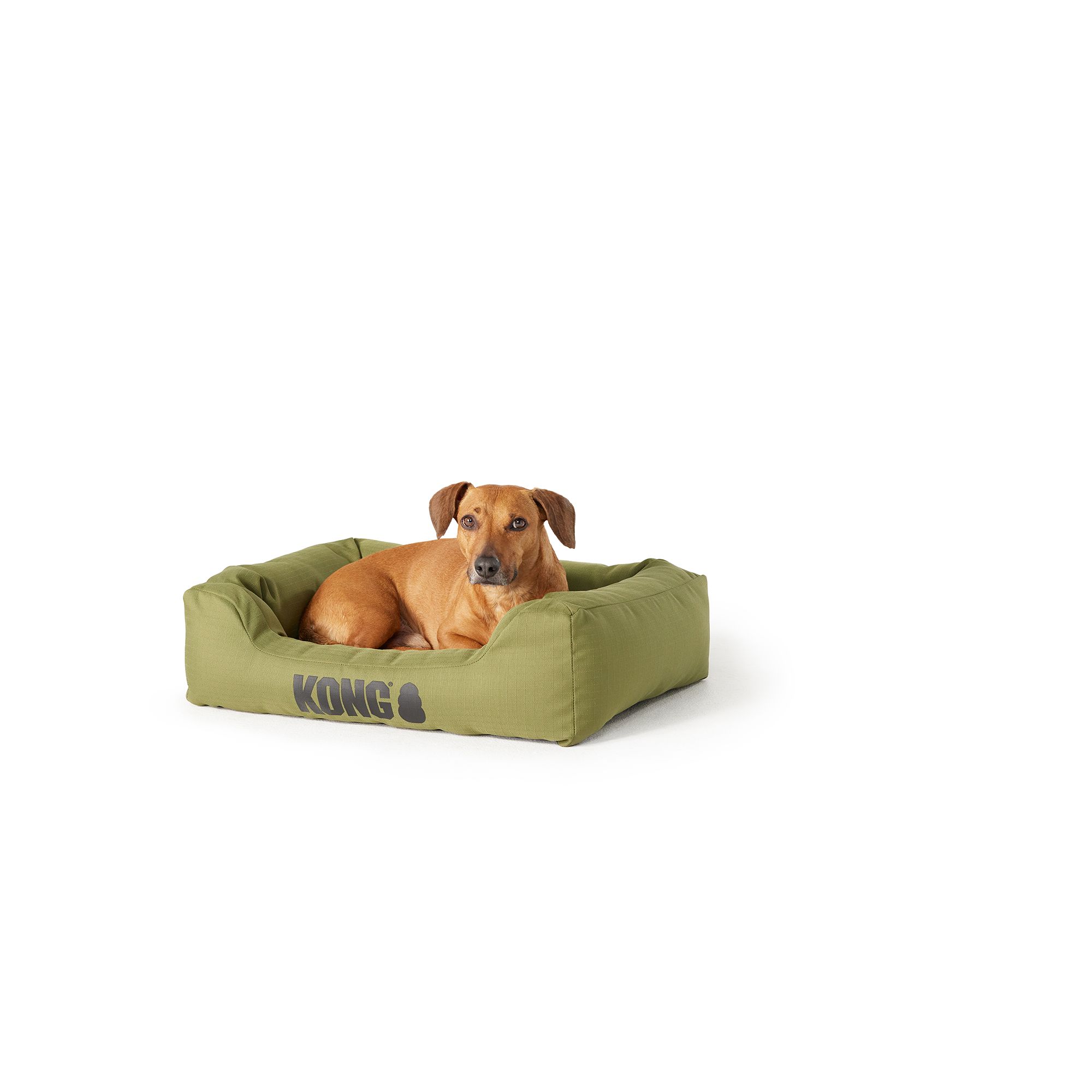 Reddy Canvas Cozy & Cool-Touch Dog Bed, 28 L X 28 W, Grey