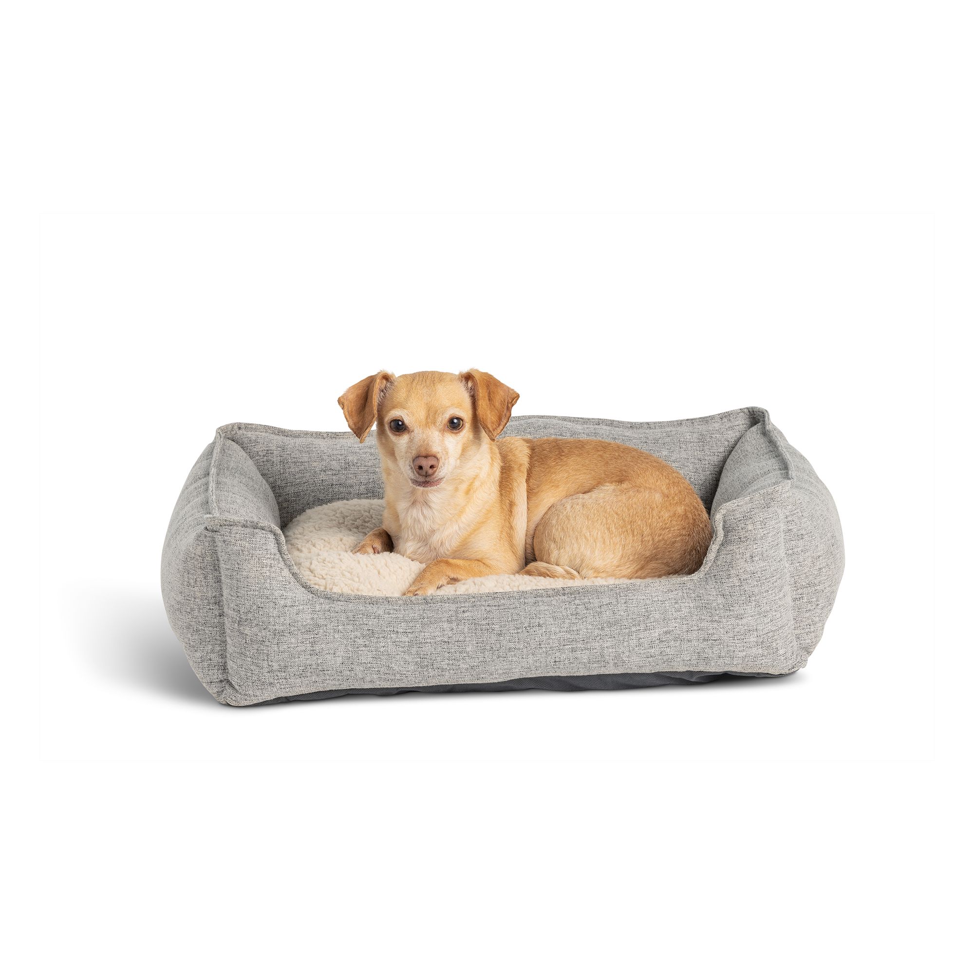 PetSmart Top Paw 4 Sides Cuddler Dog Bed