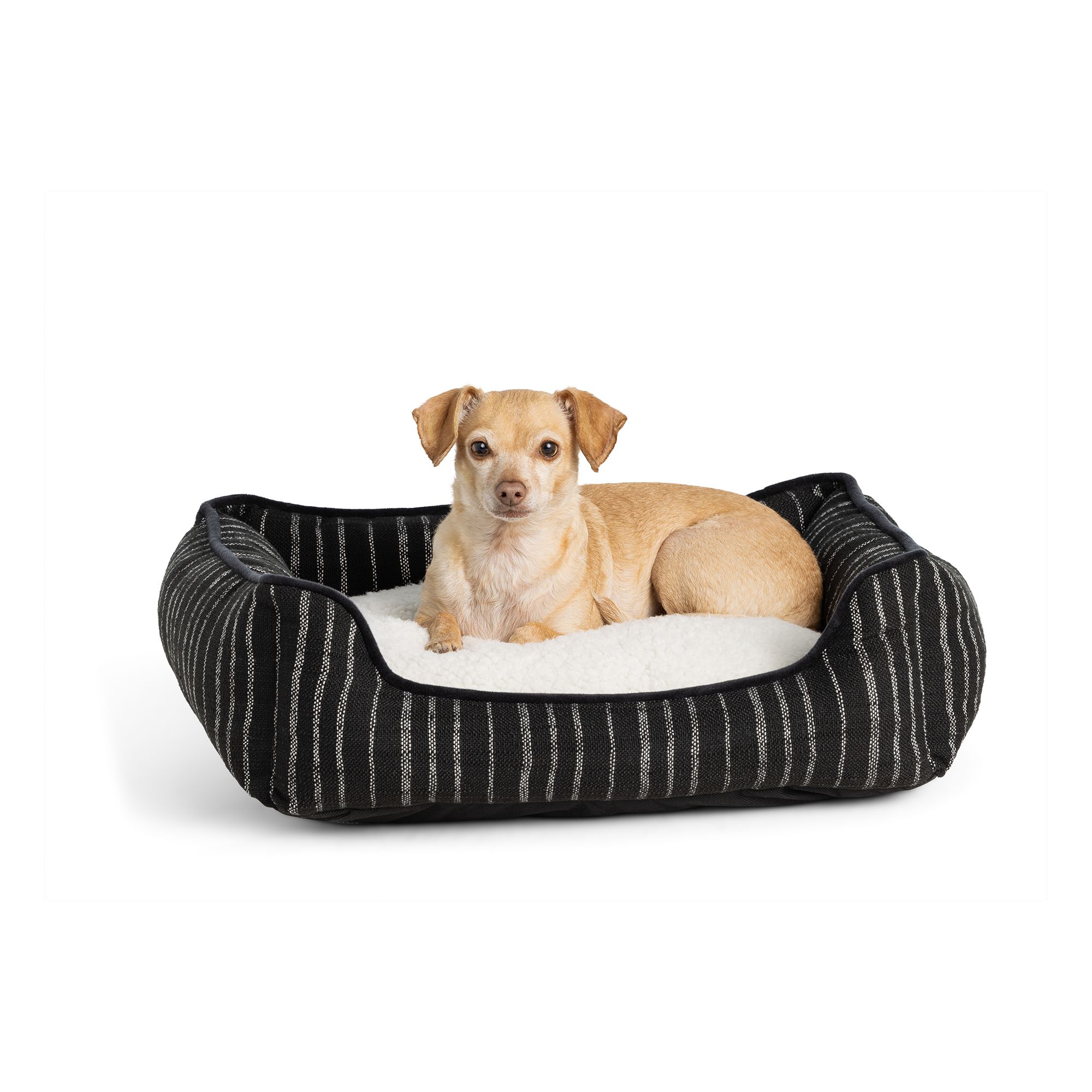 Petsmart pet beds hotsell