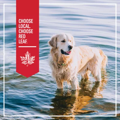 Product Red Leaf All Life Stages Dry Dog Food - Grain Free, Ocean Fish