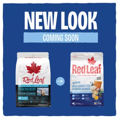 Red Leaf All Life Stages Dry Dog Food - Grain Free, Ocean Fish - Image 7
