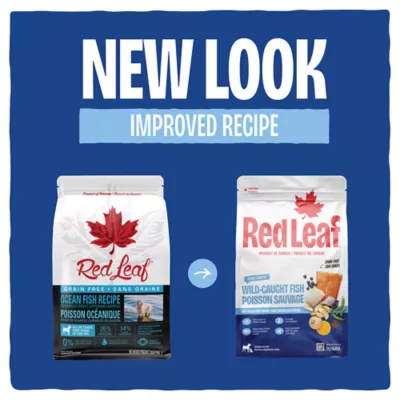 Red Leaf Adult Dog Food - Wild Caught Fish - Image 9