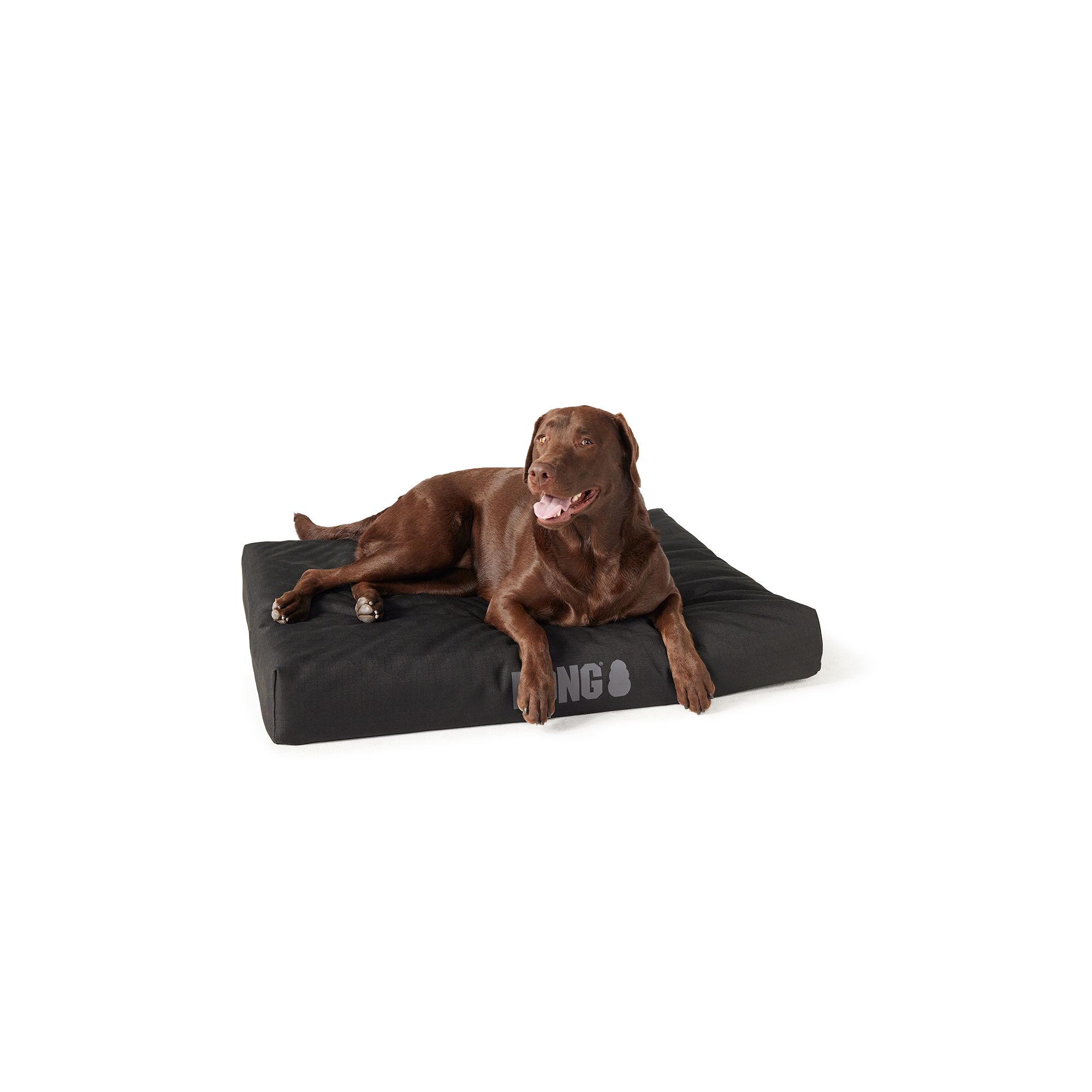 Xl kong dog store bed