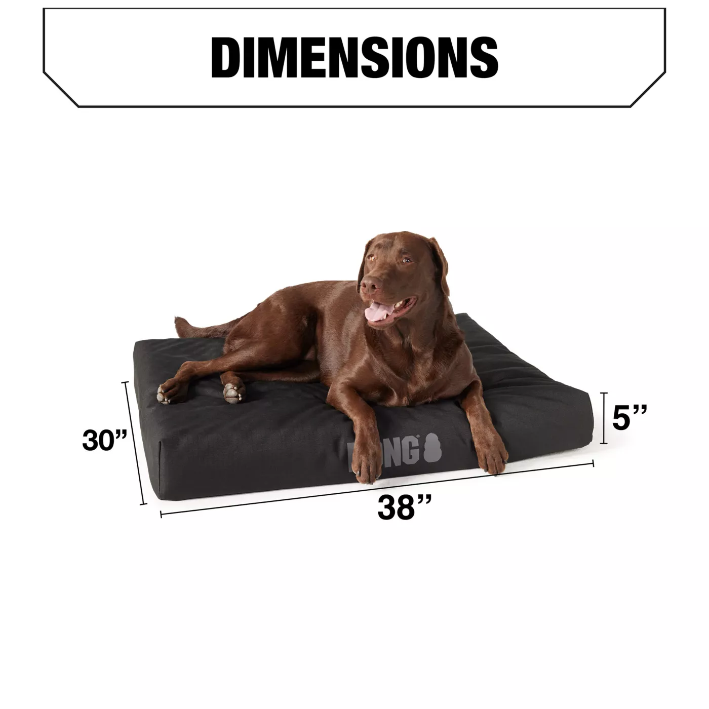 Dog cots petsmart best sale