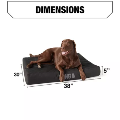 KONG Orthopedic Mat Dog Bed