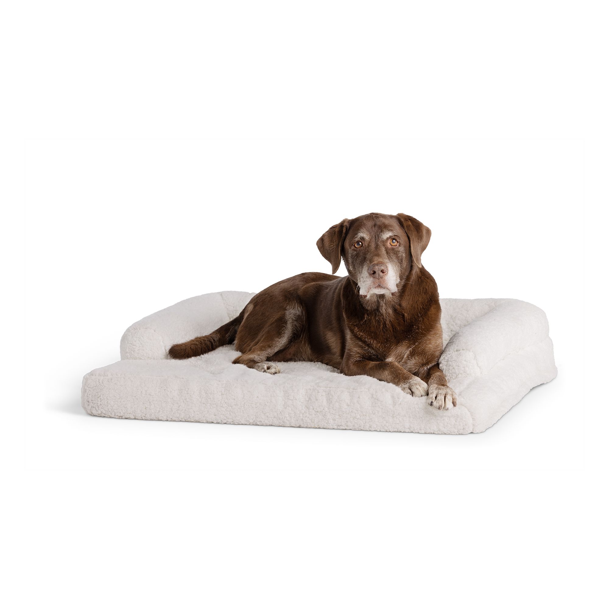 Petsmart 2025 dog couch