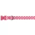 Top Paw® Pink Checkered Dog Collar image thumbnail 1
