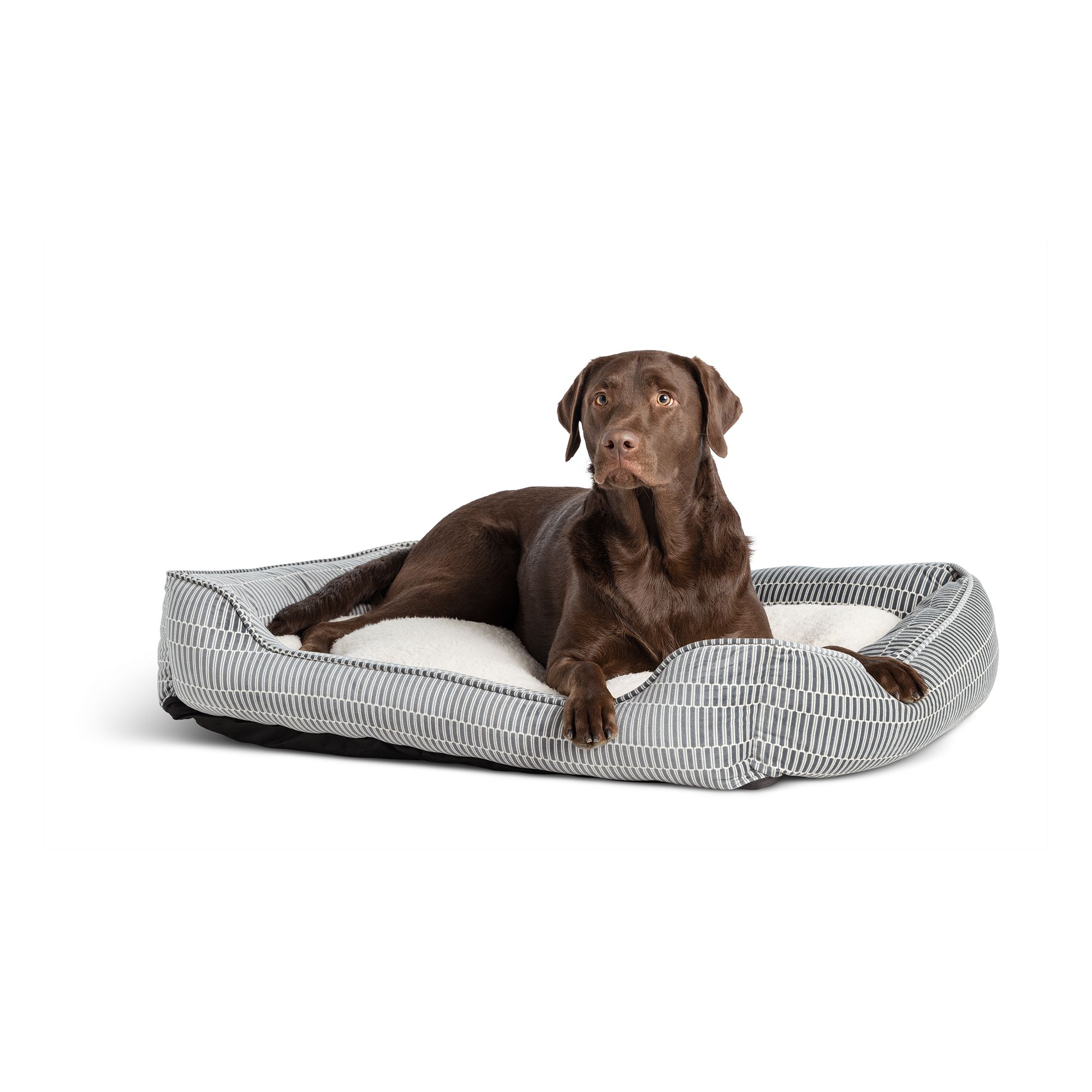 Petsmart dog best sale beds sale