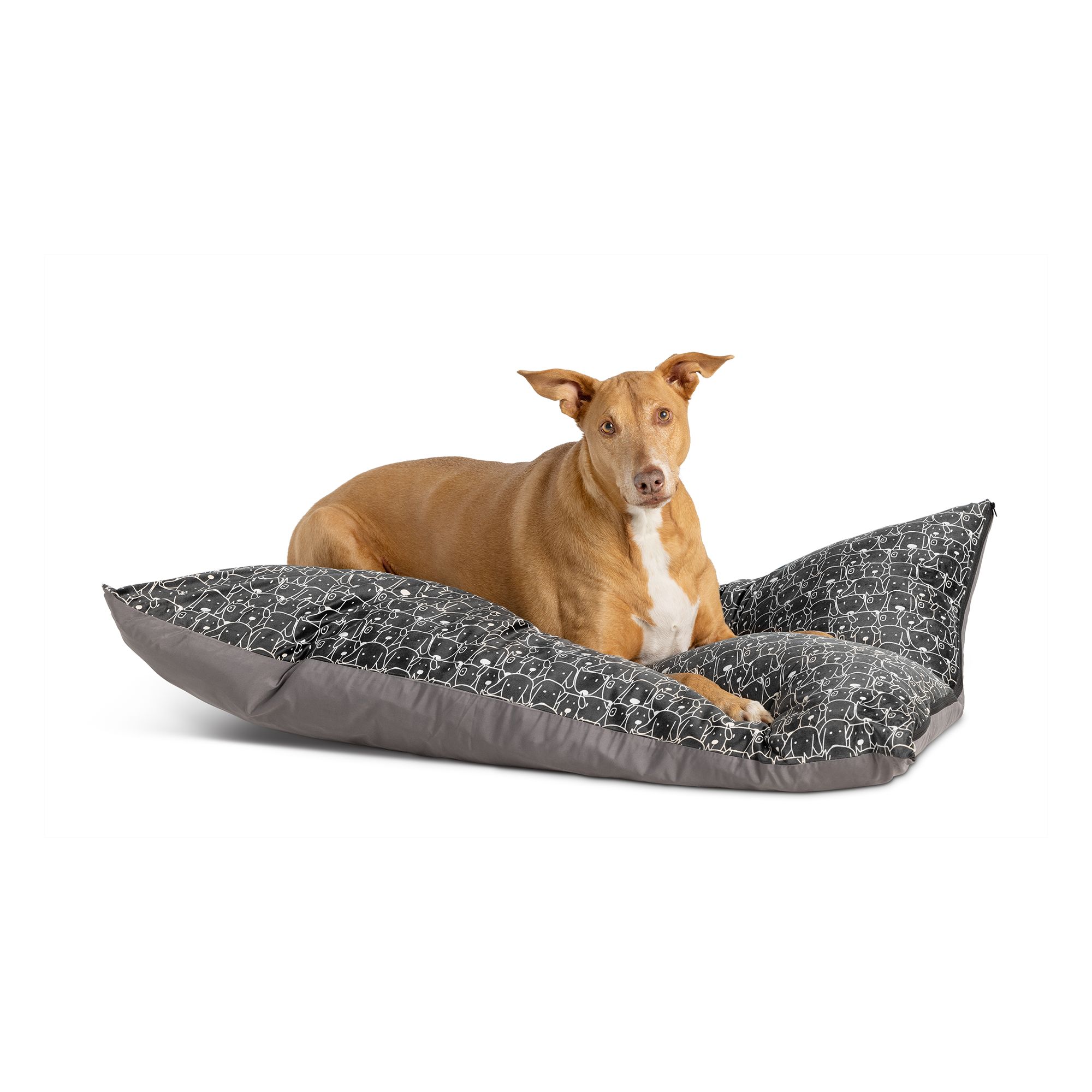 Petsmart heated dog beds best sale