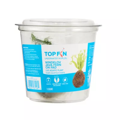 Product Top Fin® Java Ball with Pad