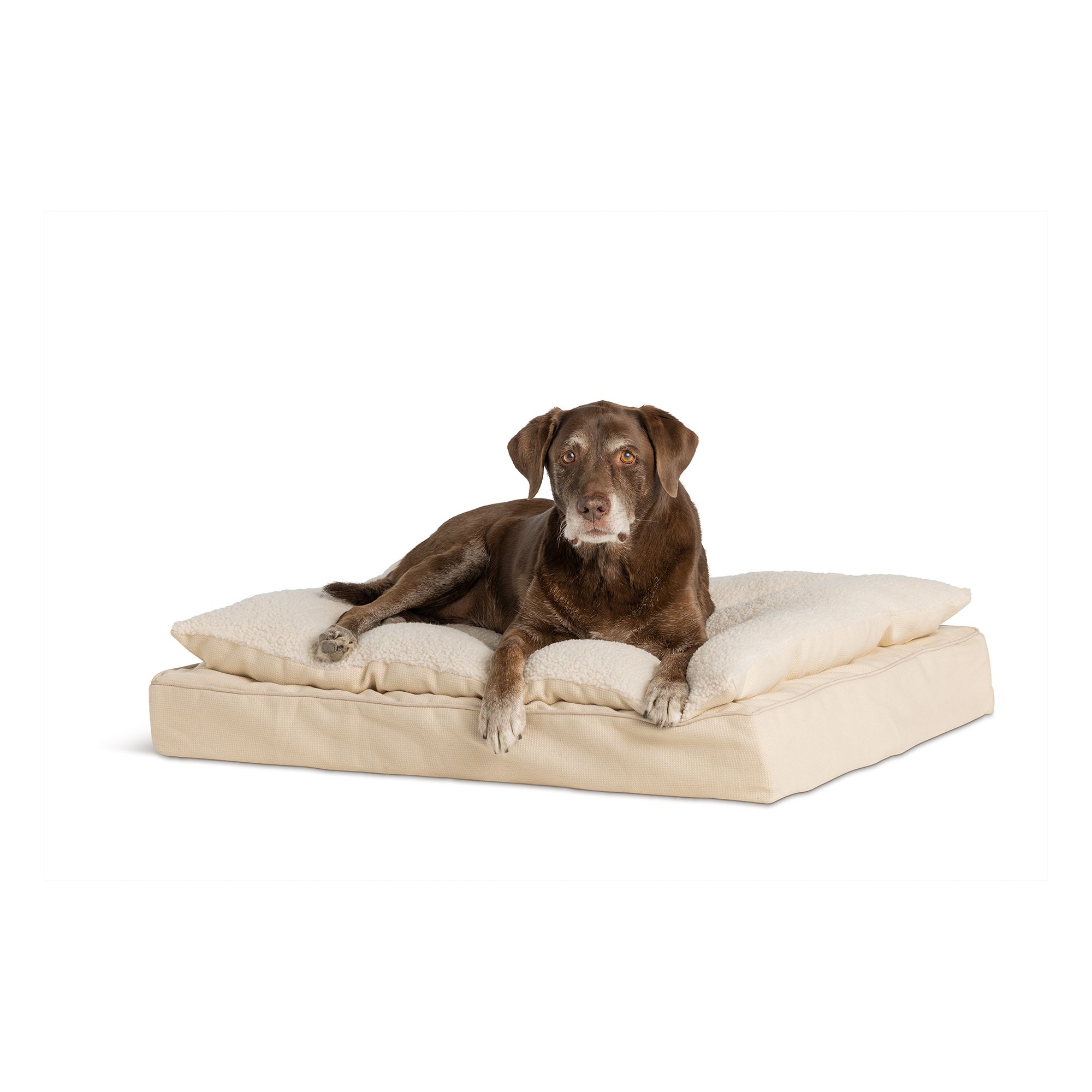 Petsmart pillow hot sale bed