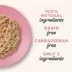 Applaws Cat Wet Food Complement - Natural, Limited Ingredient, Grain Free, 5.3 Oz image thumbnail 4