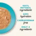 Applaws in Gravy Adult Wet Cat Food - Natural, Limited Ingredient, 2.47oz image thumbnail 2