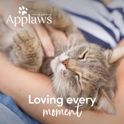 Product Applaws Cat Wet Food Complement - Natural, Limited Ingredient, Grain Free, 2.47 Oz