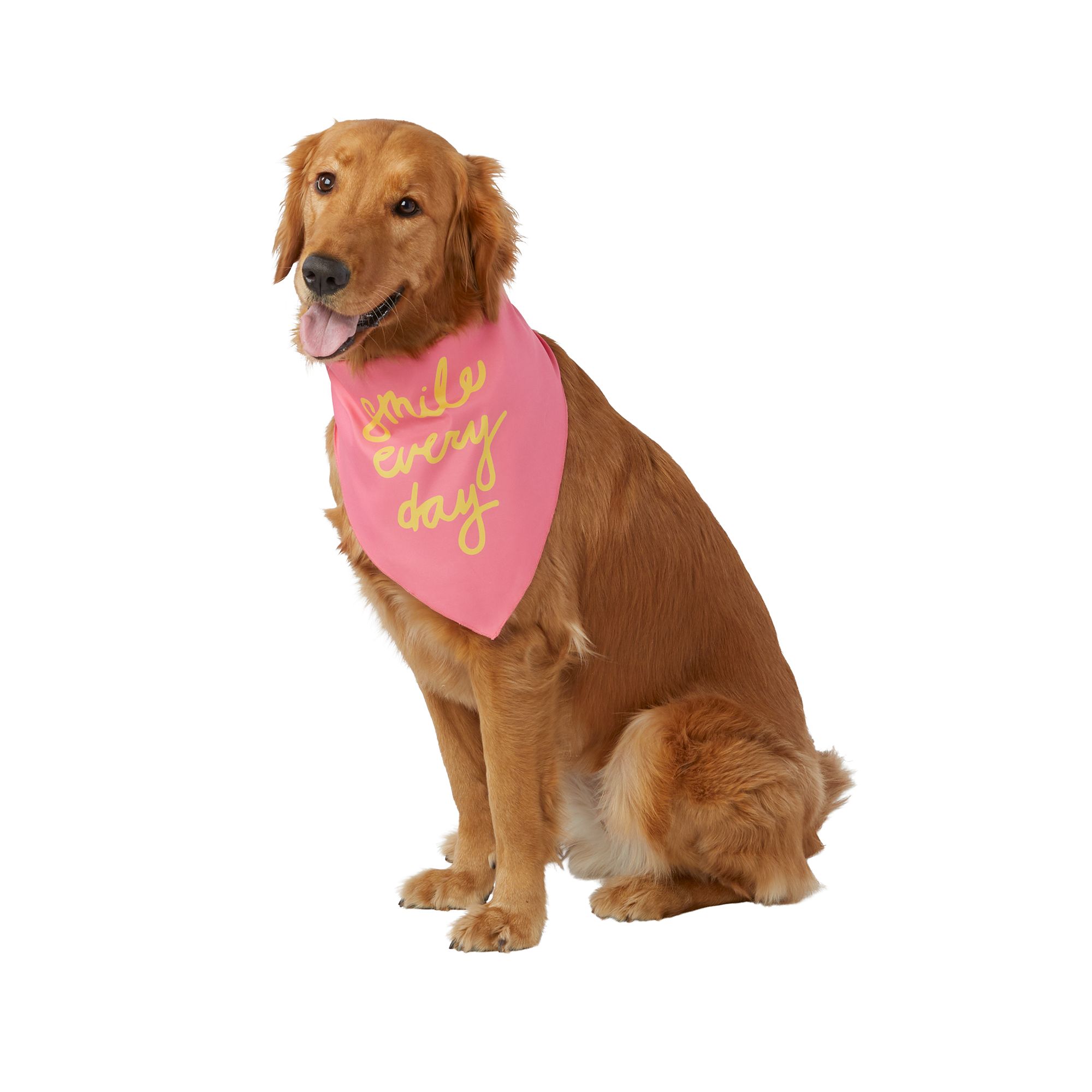 Petsmart birthday clearance bandana