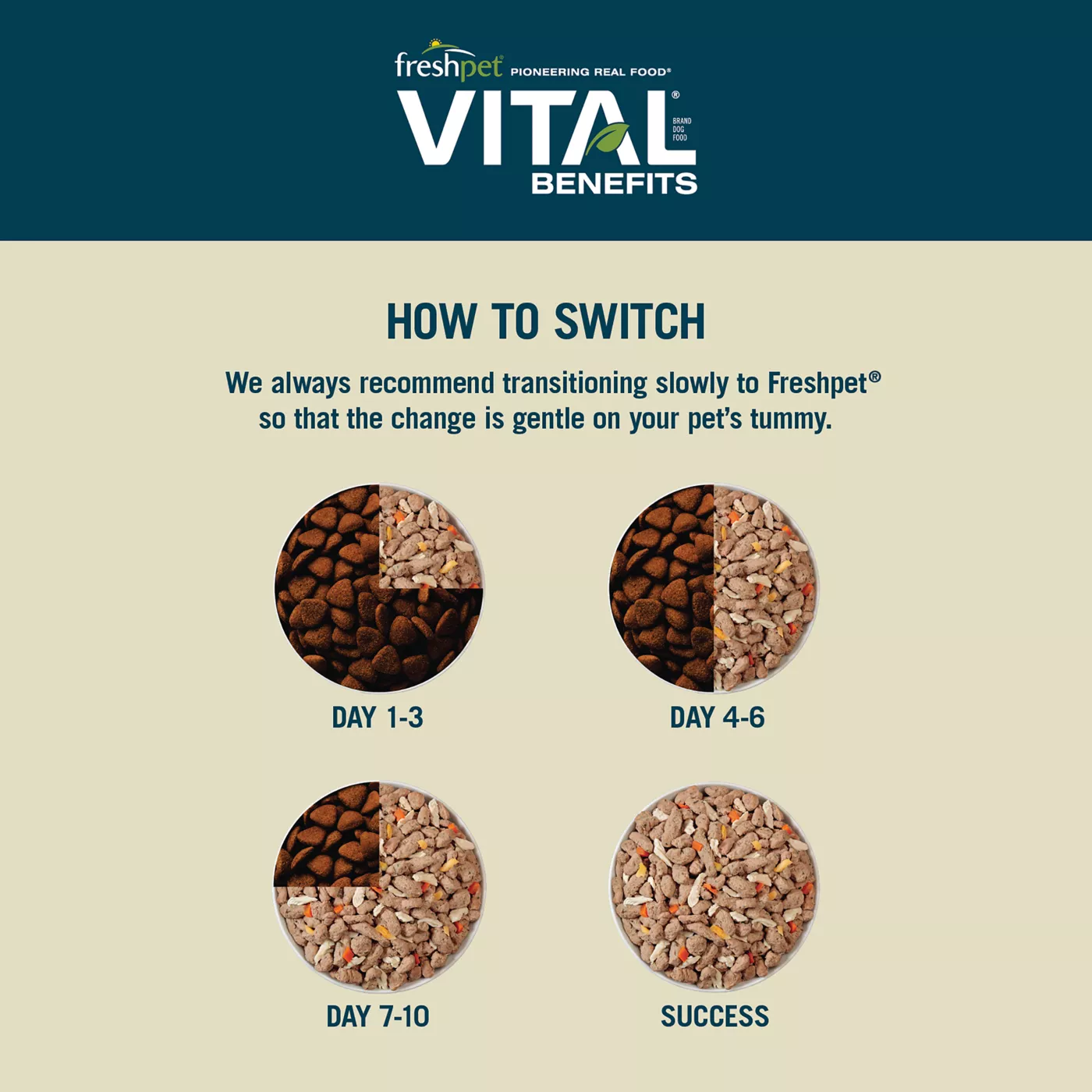Freshpet Vital Benefits Digest Health All Life Stage Fresh Dog Food Chicken