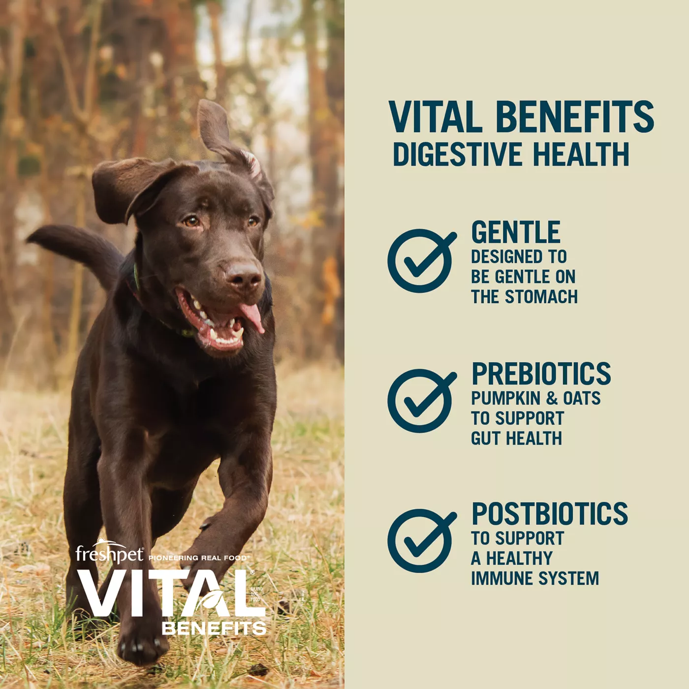 Freshpet Vital Benefits Digest Health All Life Stage Fresh Dog Food Chicken