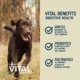 Product Freshpet Vital Benefits Digest Health All Life Stage Fresh Dog Food - Chicken