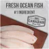 Nutrience Infusion Indoor Adult Dry Cat Food - Ocean Fish image thumbnail 6
