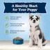 Blue Buffalo Baby BLUE Puppy Dry Dog Food - Grain Free High Protein, Natural, Chicken image thumbnail 4