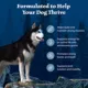 Product Blue Buffalo Wilderness Nature's Evolutionary Diet Adult Dry Dog Food - Chicken