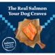 Product Blue Buffalo Wilderness Nature's Evolutionary Diet Adult Dry Dog Food - Salmon