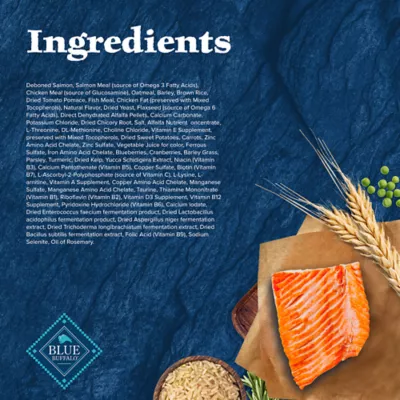 Product Blue Buffalo Wilderness Nature's Evolutionary Diet Adult Dry Dog Food - Salmon