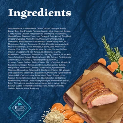 Product Blue Buffalo Wilderness Nature's Evolutionary Diet Adult Dry Dog Food - Duck