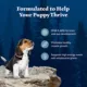 Product Blue Buffalo Wilderness Nature's Evolutionary Diet Puppy Dry Dog Food - Chicken