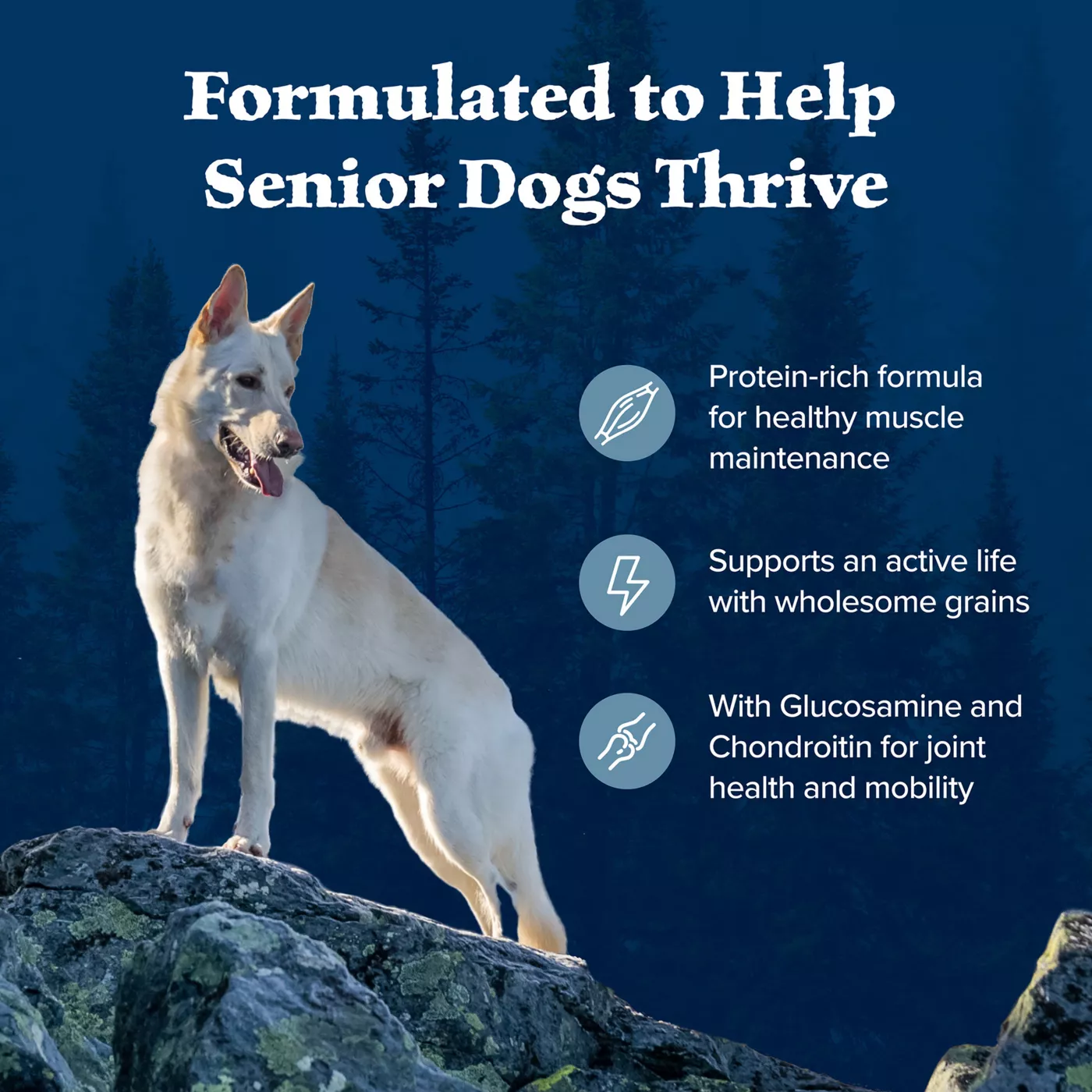 Blue Wilderness Senior Dry Dog Food Wholesome Grains High Protein Natural Chicken