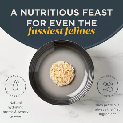 Product Reveal All Life Stage Wet Cat Food in Broth - 2.47 Oz, Limited Ingredient, Grain Free